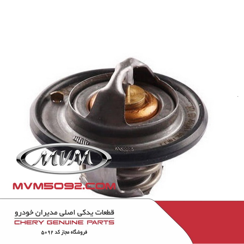 ترموستات ام وی ام دنده ای MVM 530