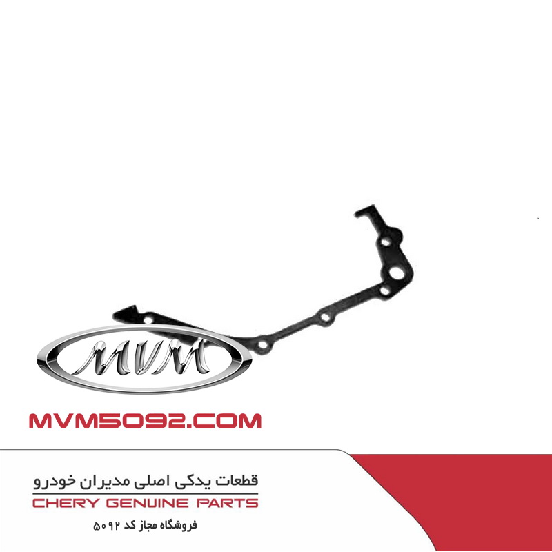 واشر اویل پمپ ام وی ام MVM 315