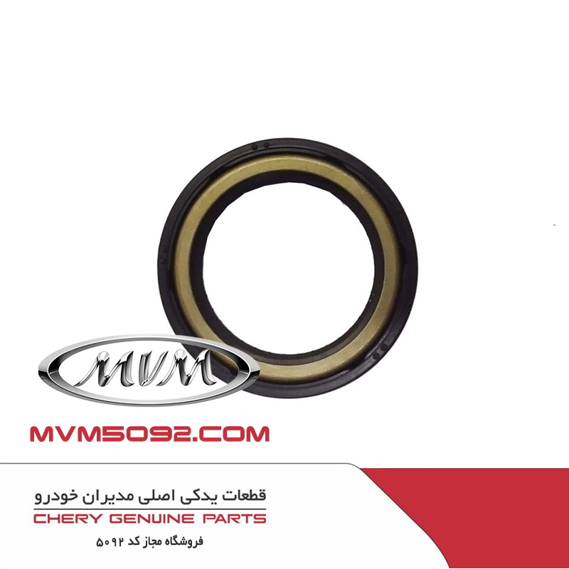 کاسه نمد ته میل لنگ ام وی ام MVM 315