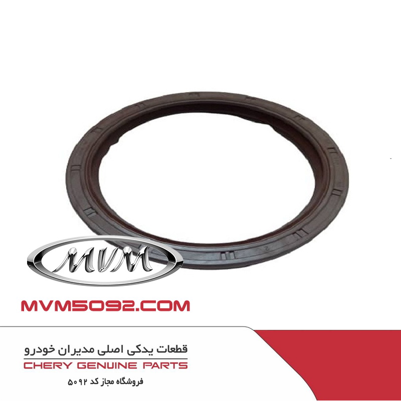 کاسه نمد ته میل لنگ ام وی ام MVM X22