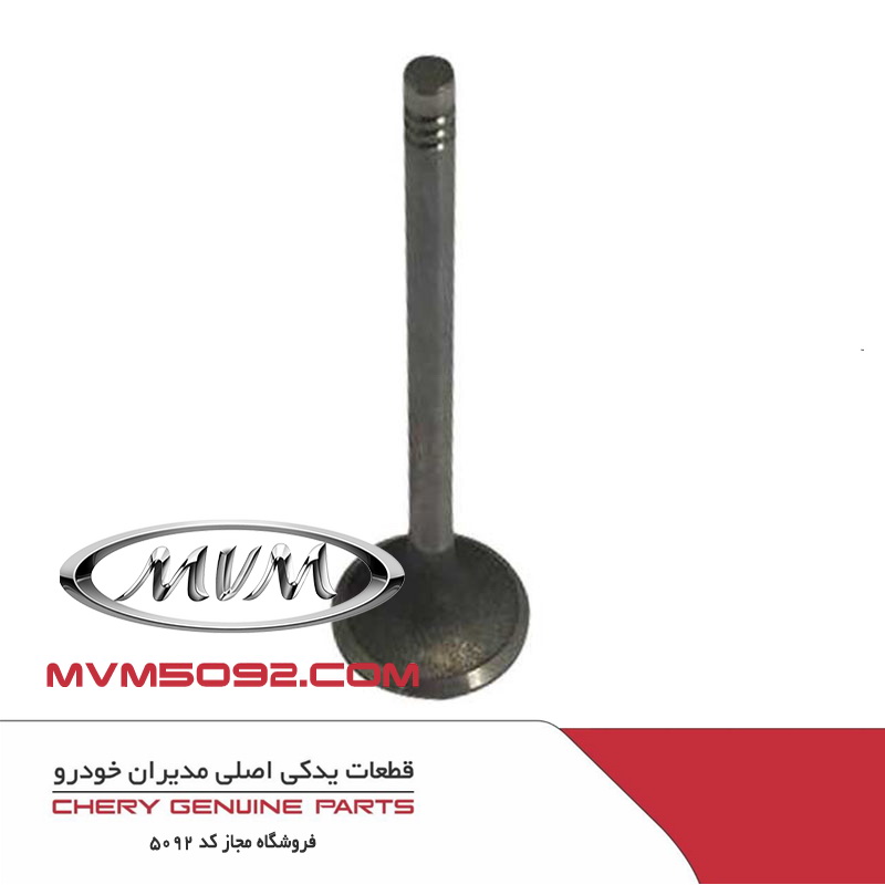 سوپاپ بنزین ام وی ام MVM 530