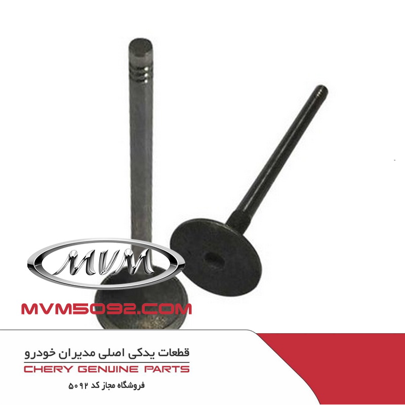 سوپاپ بنزین ام وی ام MVM X33