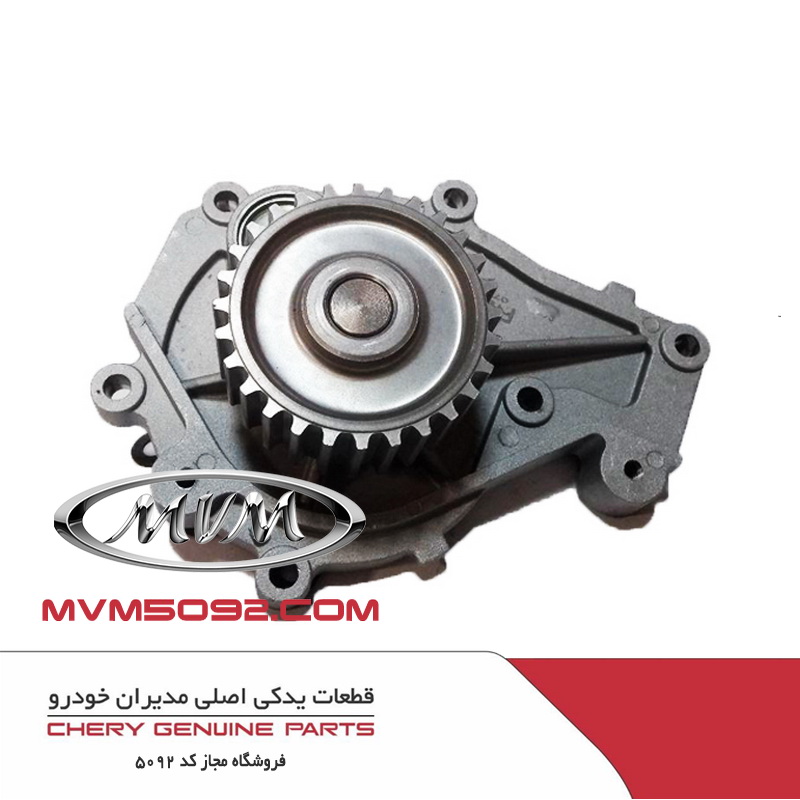 واتر پمپ ام وی ام MVM X33