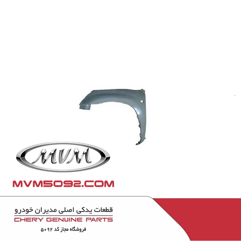 گلگیر جلو چپ ام وی ام MVM X33