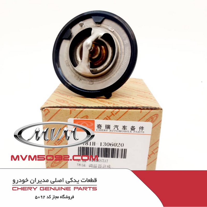 ترموستات ام وی ام MVM 315