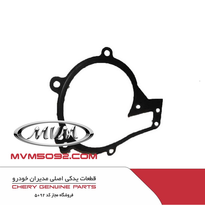 واشر واتر پمپ ام وی ام کراس MVM X33