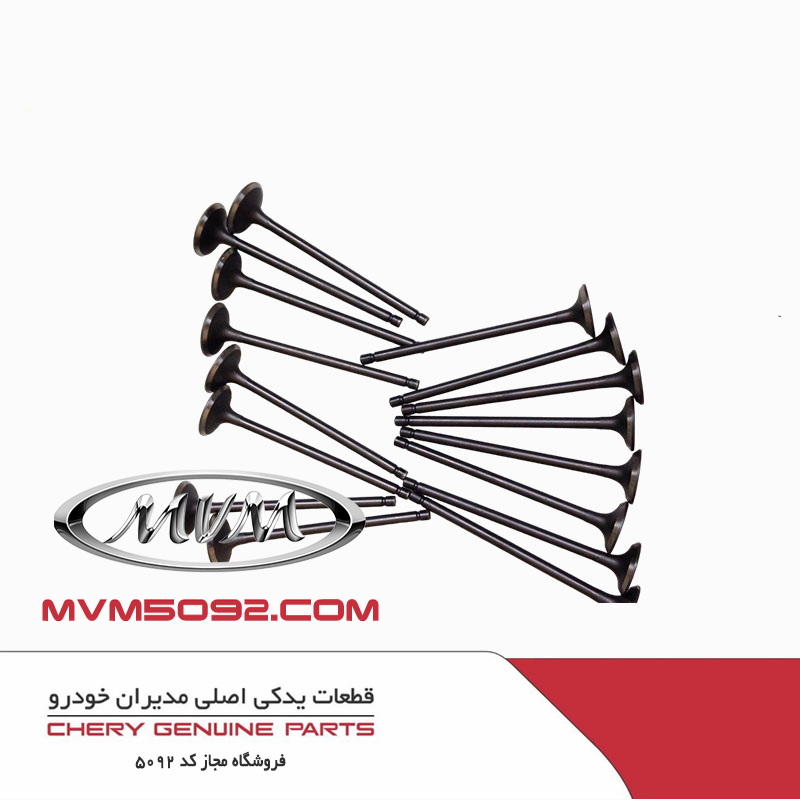 سوپاپ دود چری تیگو CHERY TIGGO 5