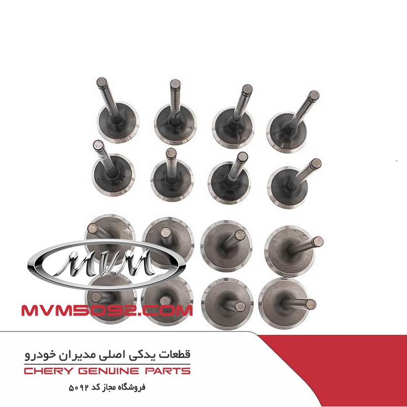 سوپاپ هوا ام وی ام MVM 550