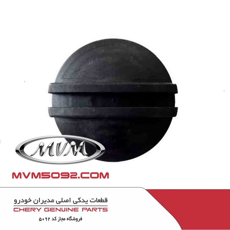 دریچه مخزن انبساط ام وی ام MVM 315