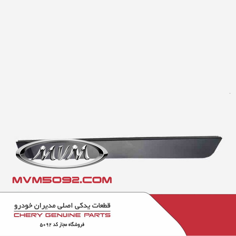 زه درب عقب چپ ام وی ام MVM X22