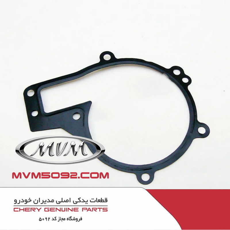 واشر واتر پمپ ام وی ام MVM 550