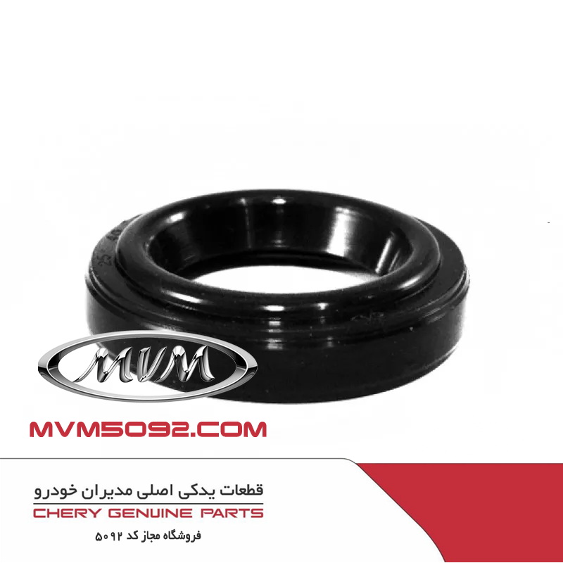 واشر آب بندی شمع موتور ام وی ام MVM 315