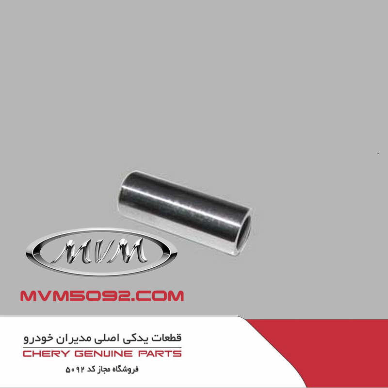 گژن پین ام وی ام MVM 110S
