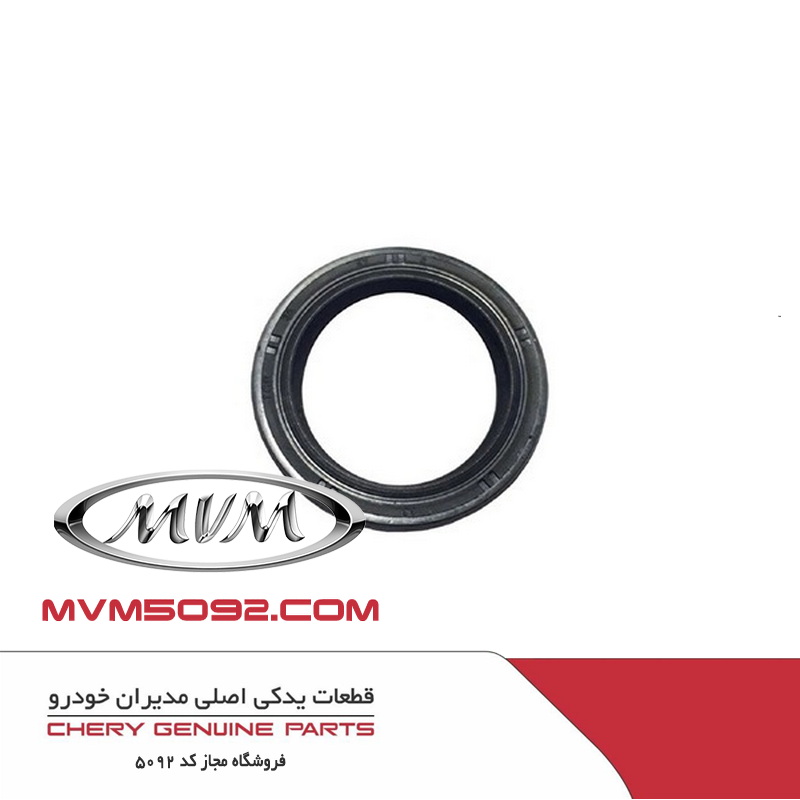 کاسه نمد دیفرانسیل ام وی ام MVM 550